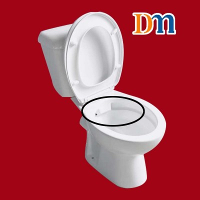 DMT-02 two piece toilet P-trap rimless toilet